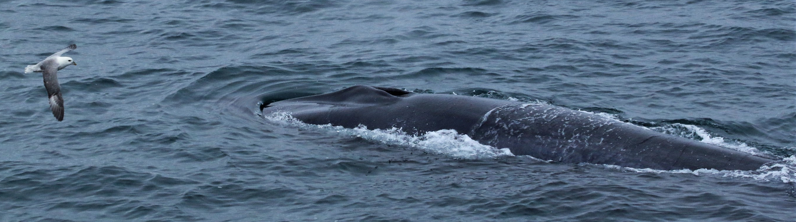 Success in the field