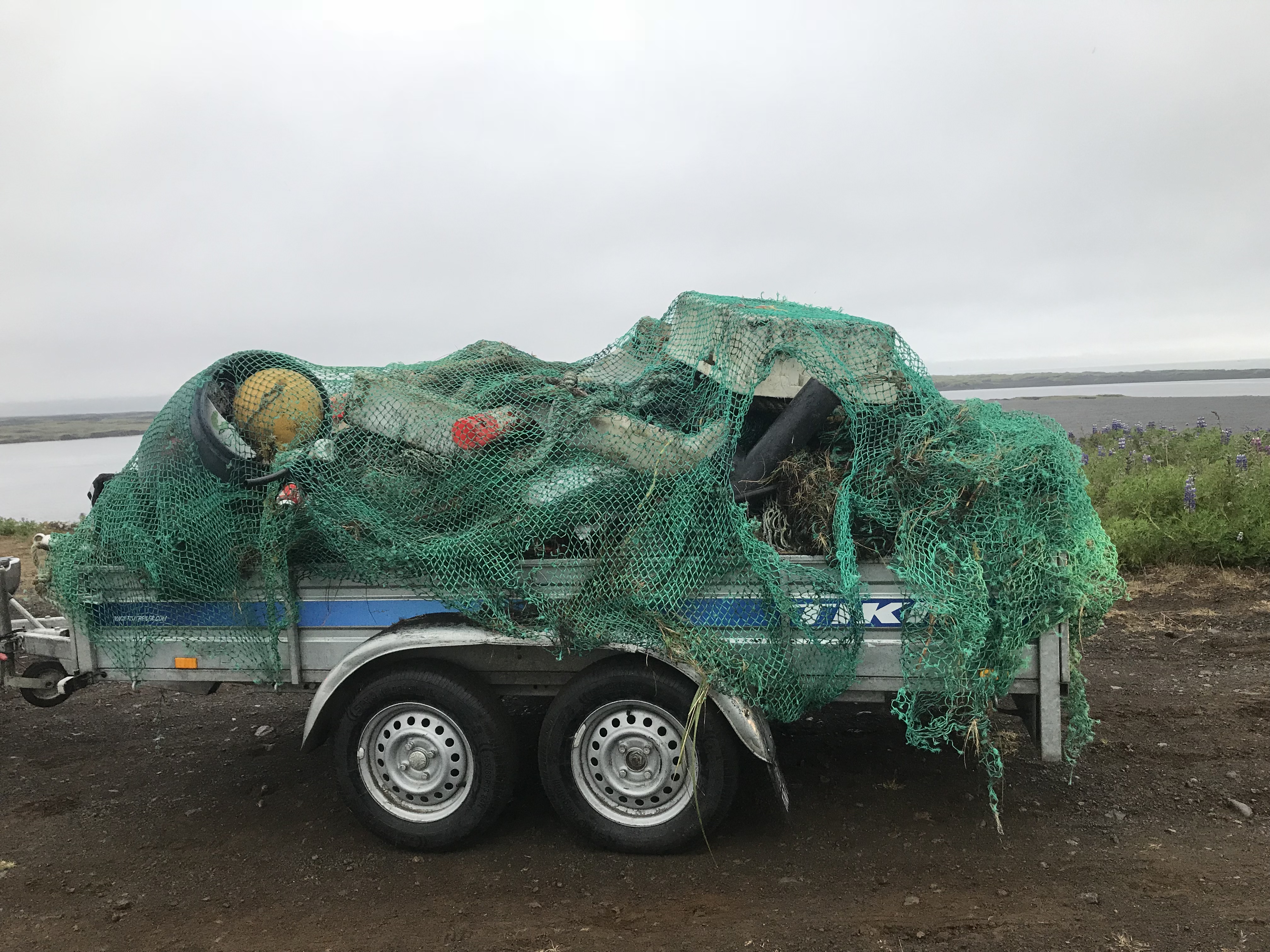 Whale Worries – Plastics