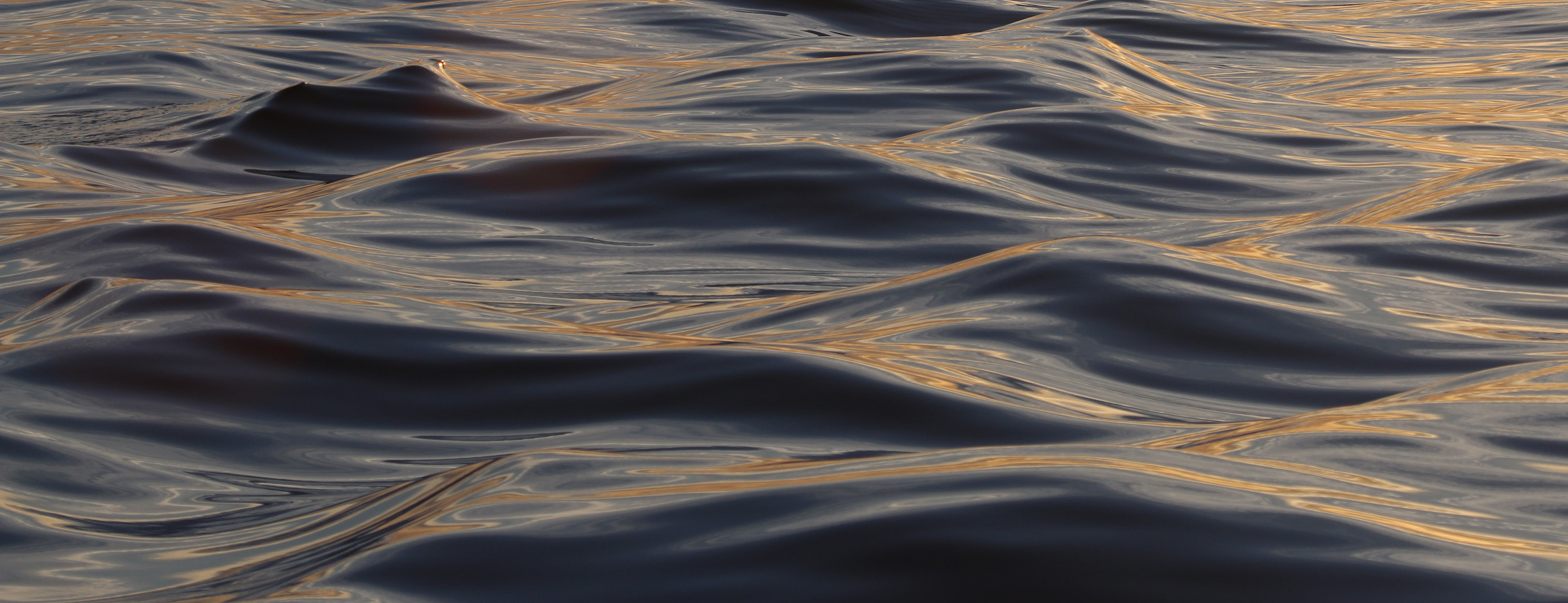 Creating Ocean Films Húsavík